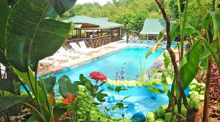 JJ’s Paradise Hotel